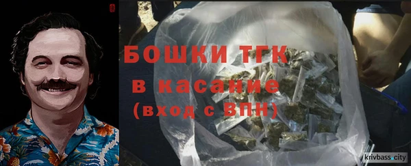 молекула духа Кинешма