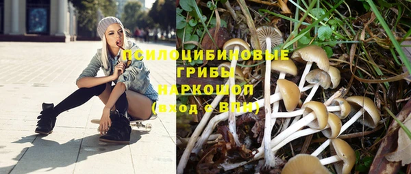 бутират Киреевск