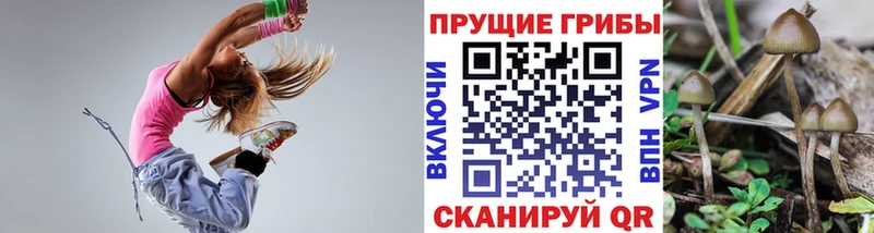 Псилоцибиновые грибы Magic Shrooms  Купить закладки  Ахтубинск 